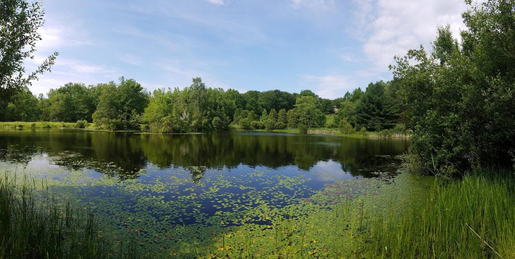 Highstead Arboretum, United States